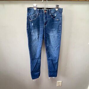 Democracy Ab Technology Skyrise Ankle Skimmer  Jeans, Size 6‎